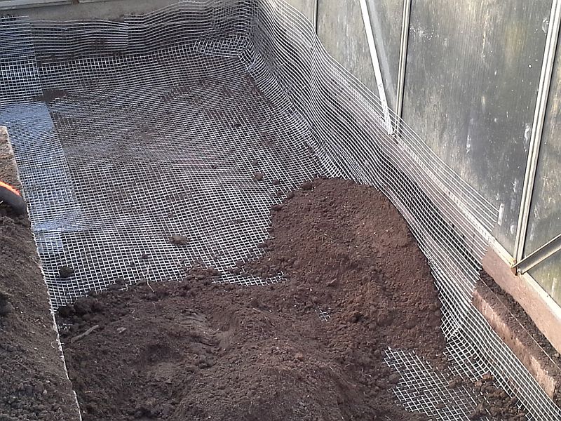 Erde mit Humus und Torf , schön locker und fluffig