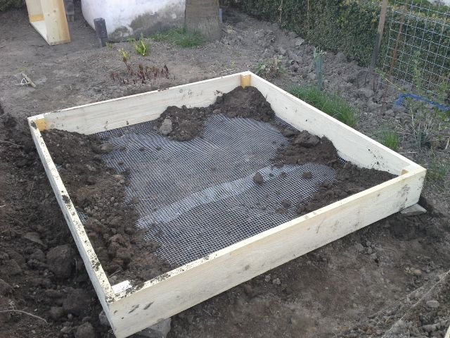 Erste Lage kommt auf gut aufgelockerten Boden und ein Mäuseschutzgitter sollte die Plagen abhalten