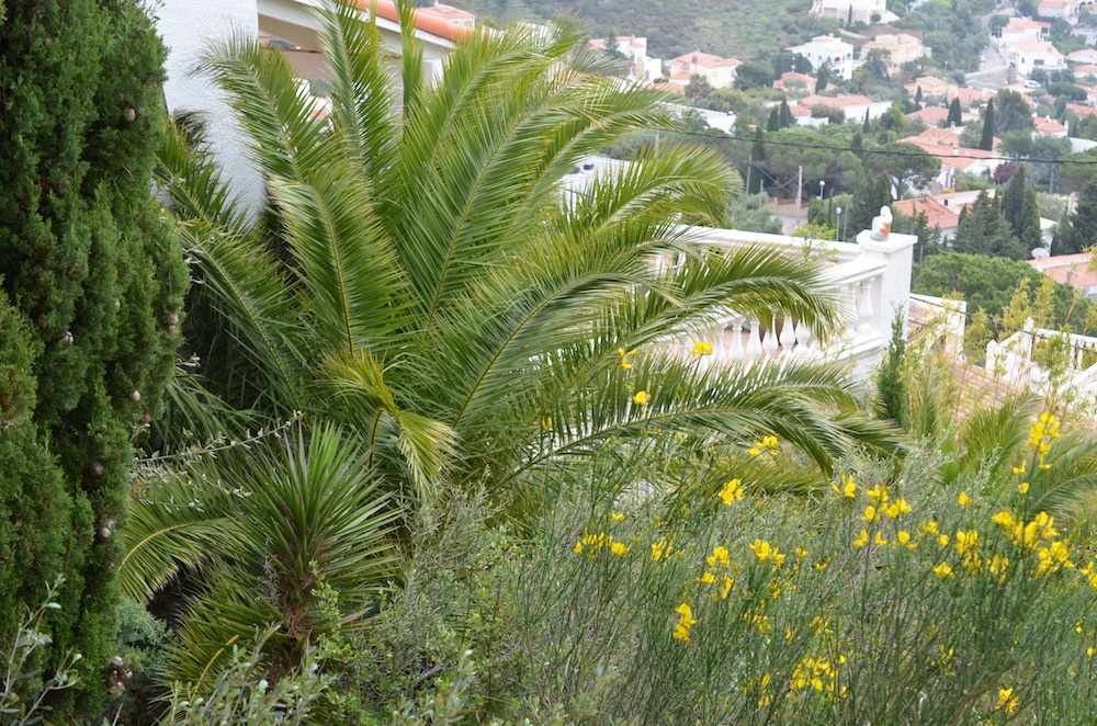 Pflanzen im Garten 5.jpg
