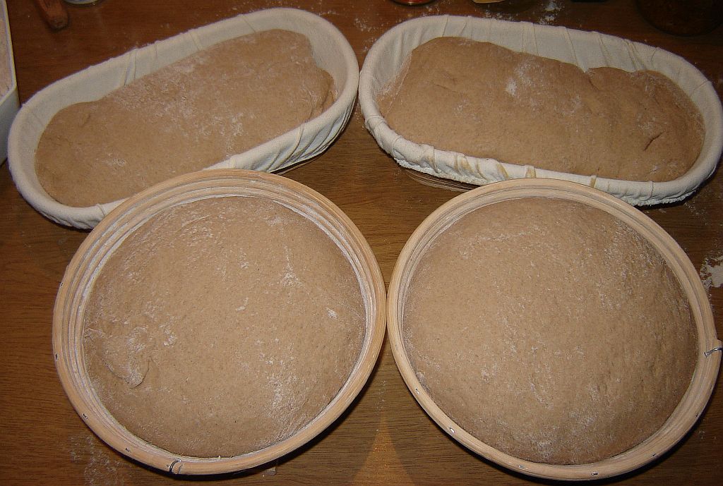 OBM-Weizen-16.jpg