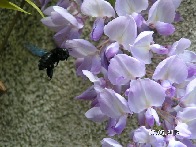 PICT0413.JPG
