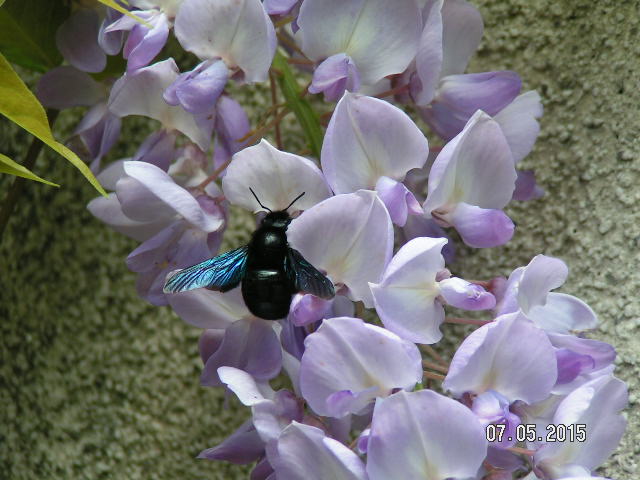 PICT0414.JPG