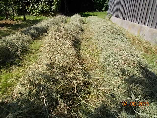 DSCN0963.JPG