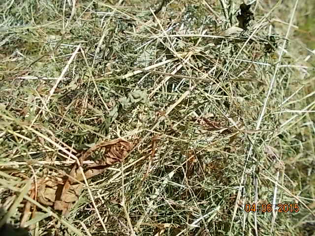 DSCN0961.JPG