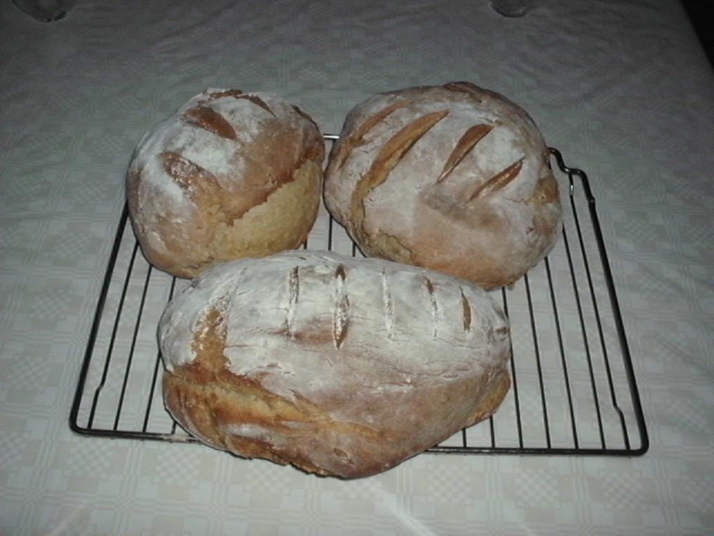 Gebacken heute