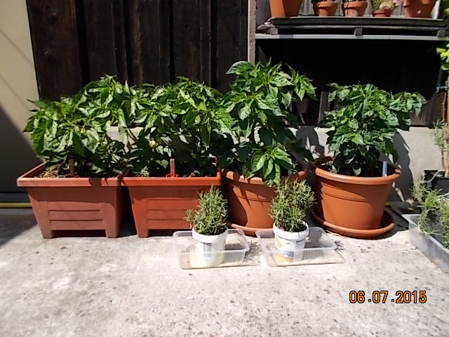 DSCN1043.JPG