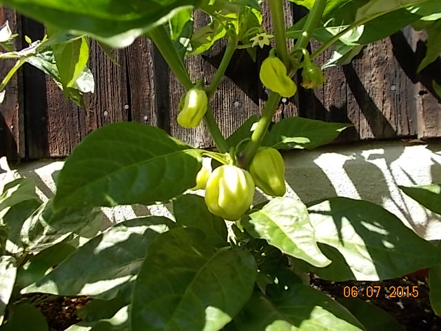 DSCN1042.JPG