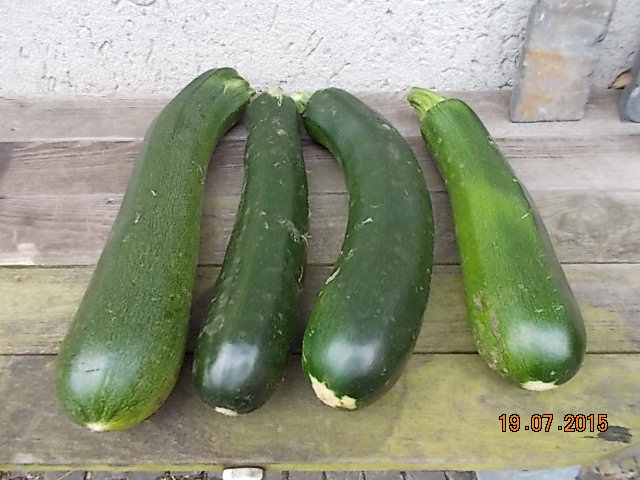 DSCN1098.JPG