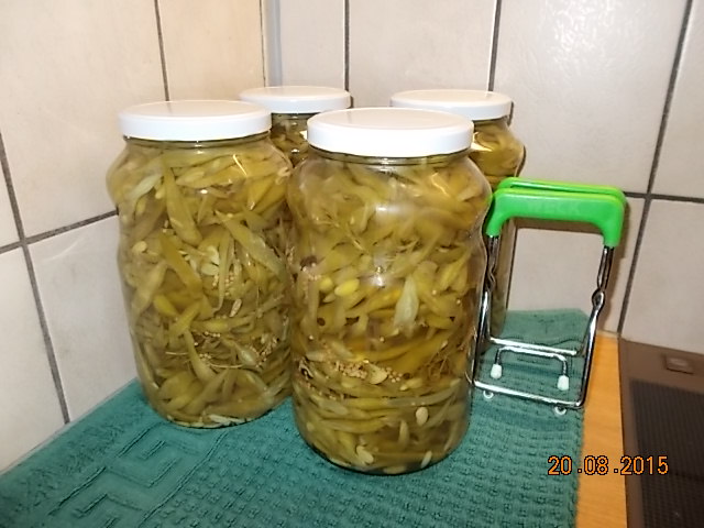 DSCN1217.JPG