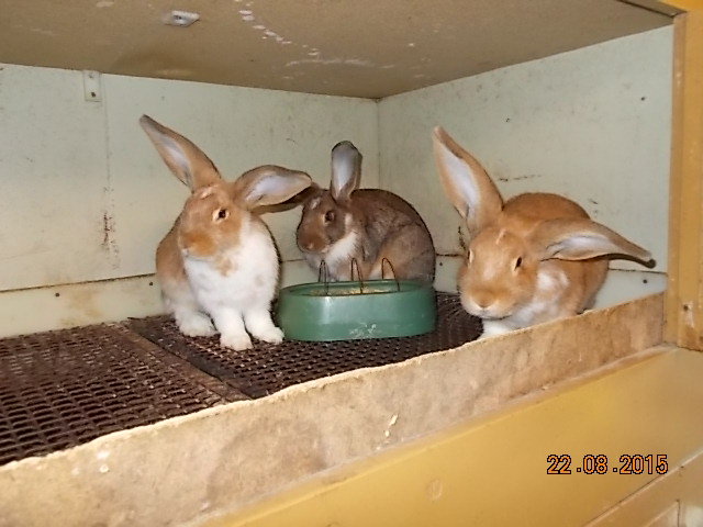 DSCN1225.JPG