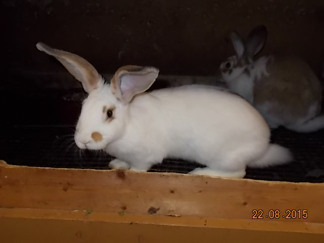 DSCN1232.JPG