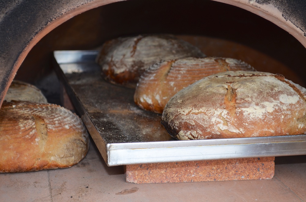 Backofen Testlauf 5.jpg