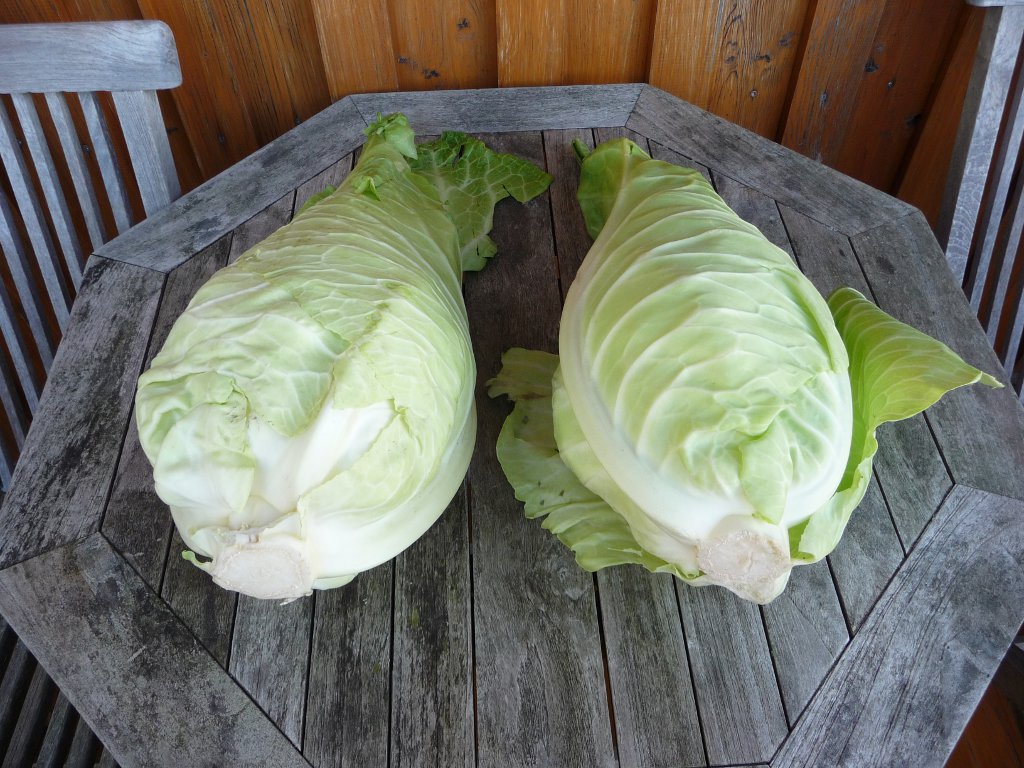 20151024_01.JPG