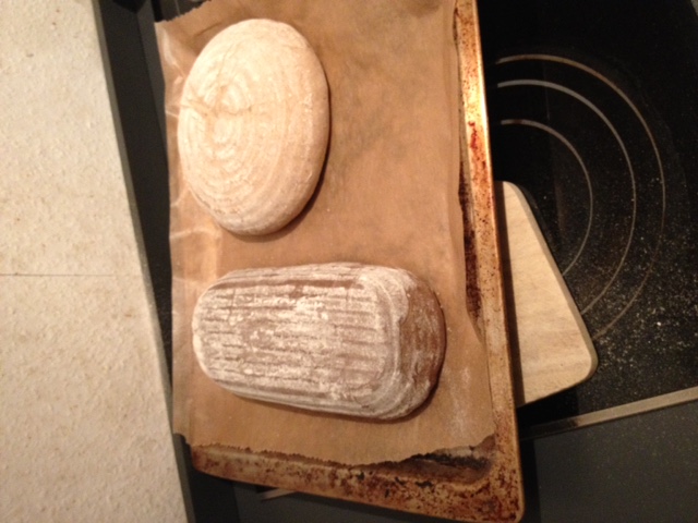 Beide Brote nach der Stückgare kurz vor dem einschiessen mit dem Schluss nach oben
