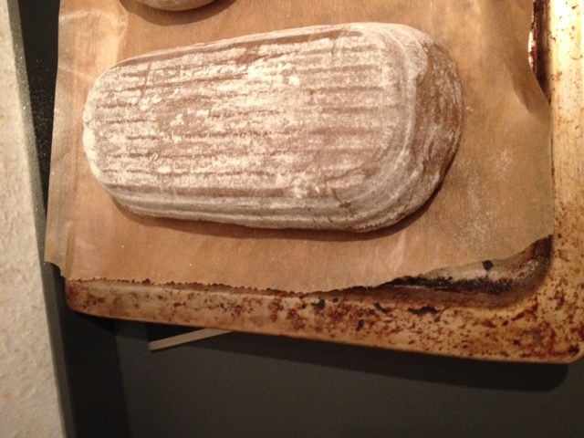 Langgewirktes Brot kurz vor dem einschiessen , Schluss oben