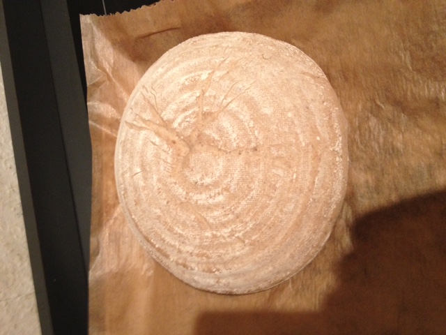 Rundes Brot nach der 65 Minütigen Stückgare kurz vor dem einschiessen, Schluss nach oben