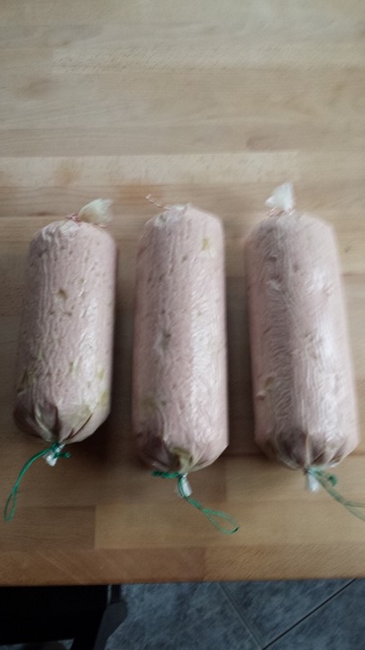 Pilzwurst in  Sterildarm.jpg