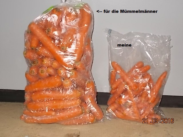 DSCN1477.JPG
