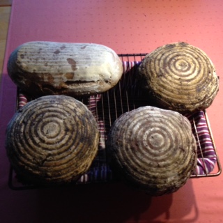 3 x 2 Pfünder Weizenmischbrot mit Röstzwiebeln (rund) und 1 x 2 1/2 Pfünder rustikales Bauerbrot (Plötzblog )