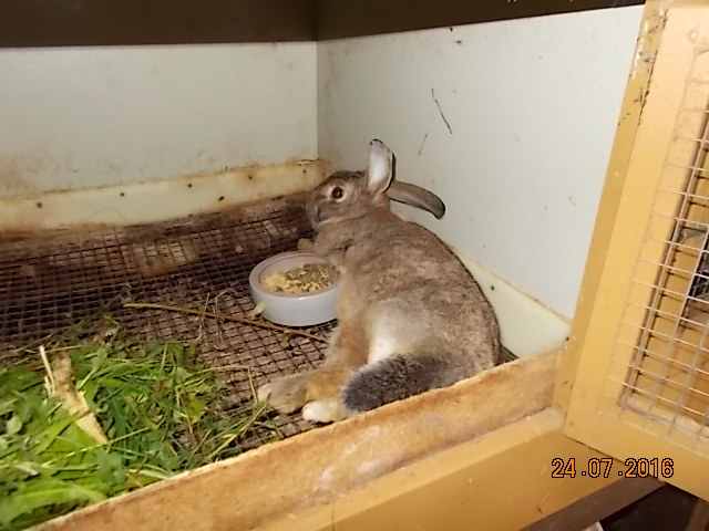 DSCN1677.JPG