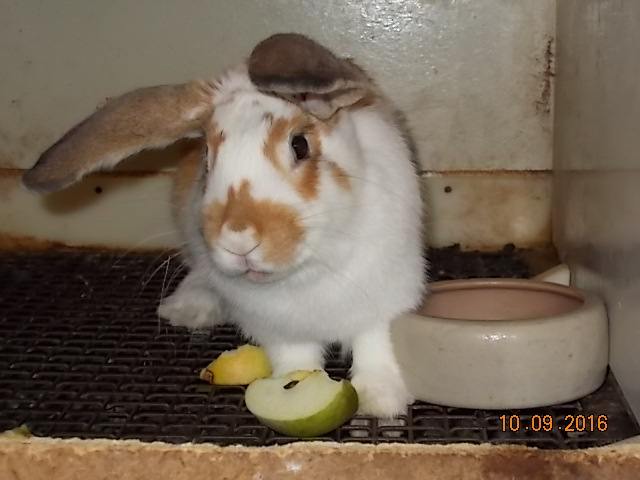 DSCN1788.JPG