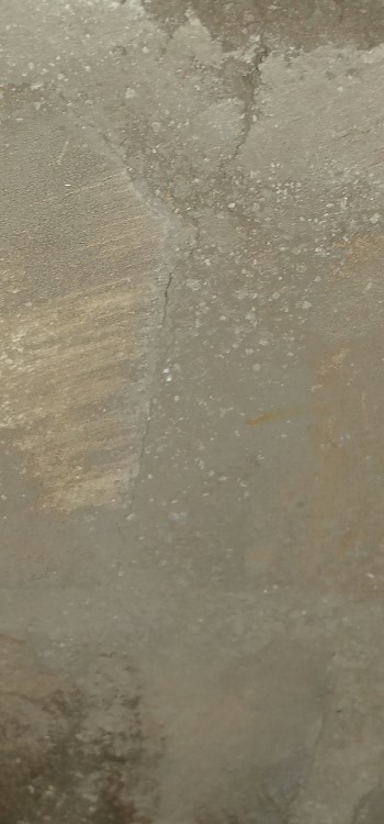 2016-09-14 20.29.18.jpg