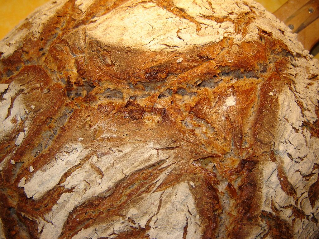 Steinis rustikale Landkruste 02.jpg