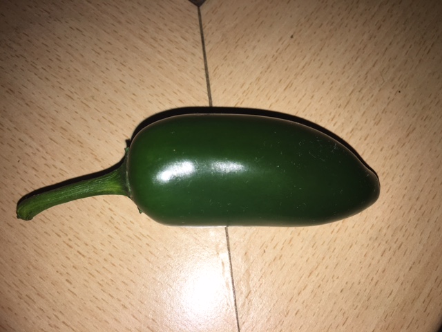 image.jpeg