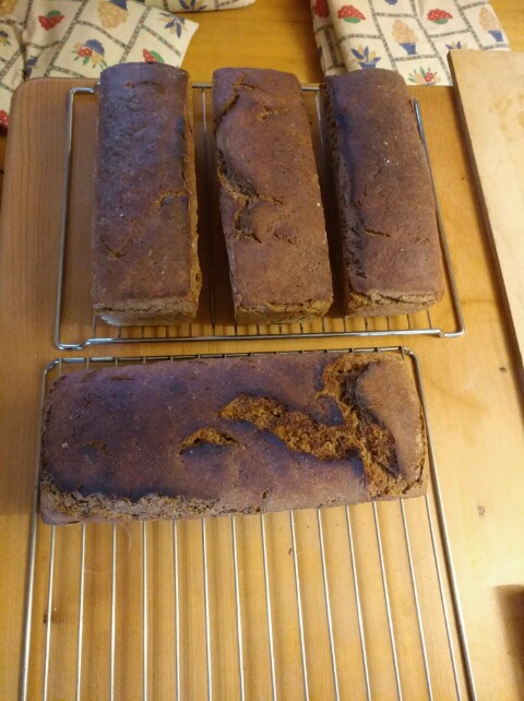 Rogenvollkorn mit Dinkel