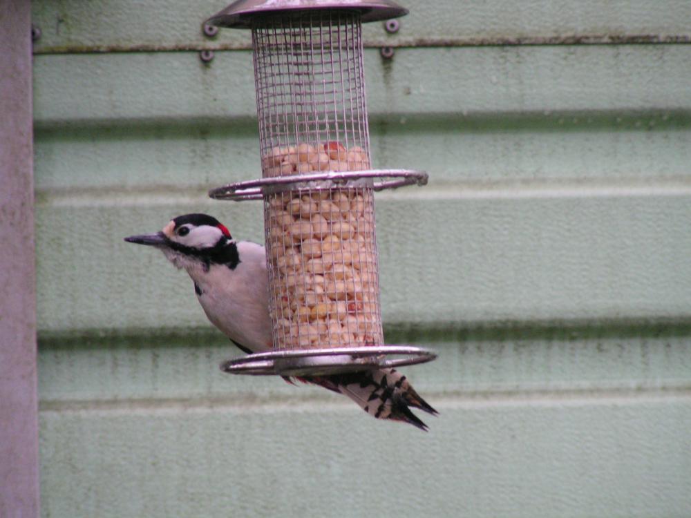 PICT0047.JPG