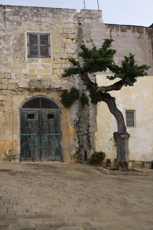 IMG_1029 (533x800).jpg