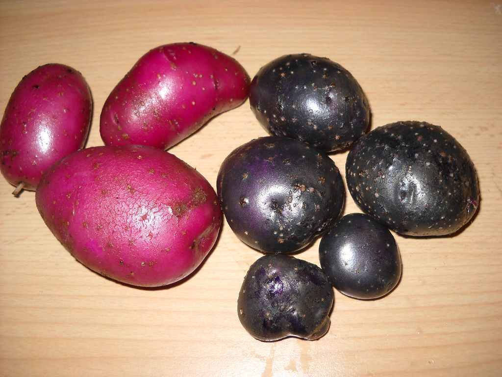 k-004.JPG