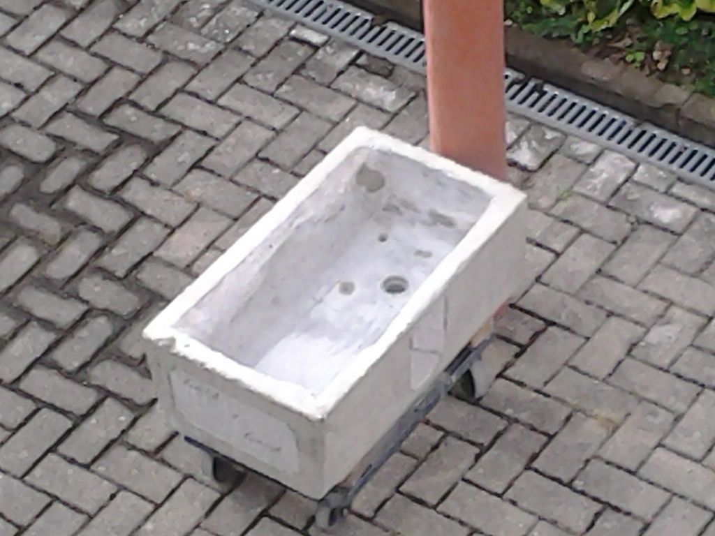 20170819_081045.jpg