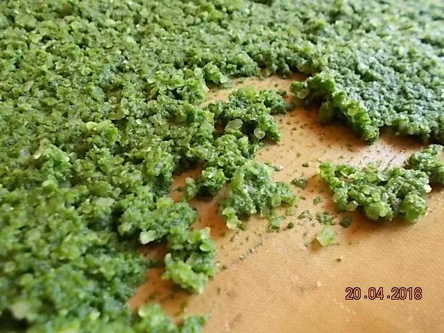 DSCN3173.JPG