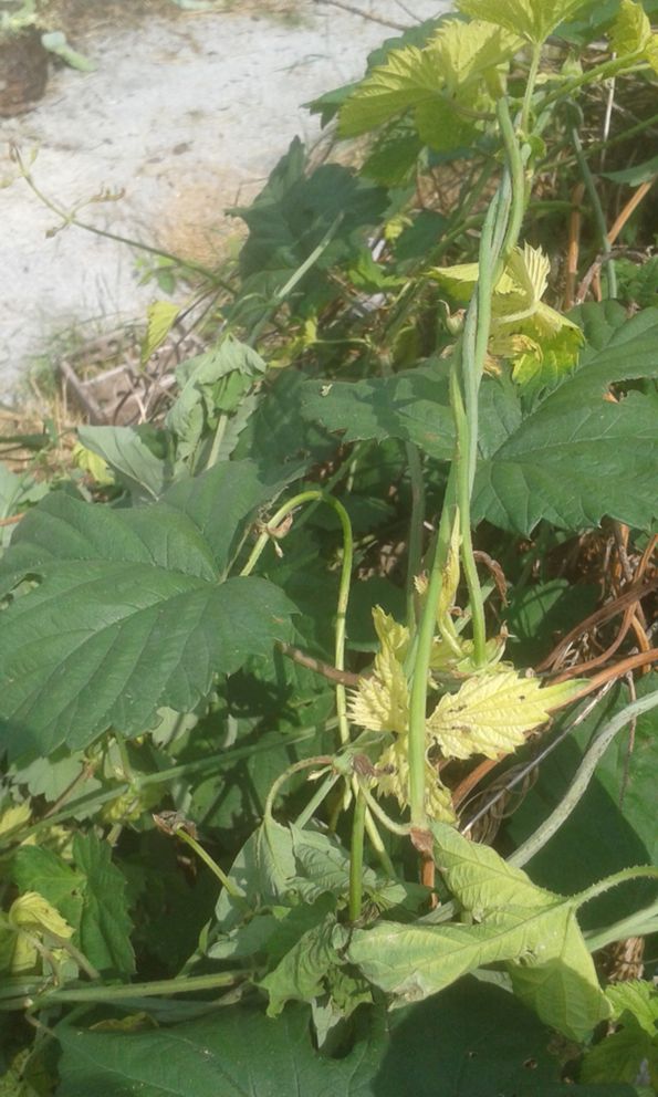 20180604_145108.jpg