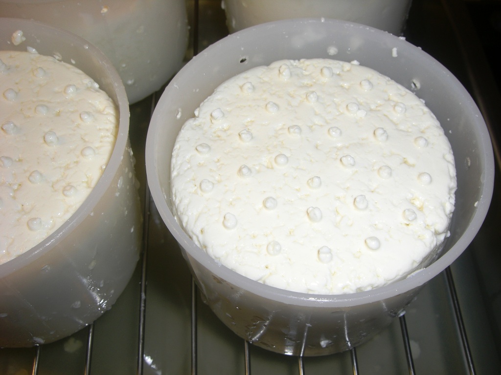 Käse 013.jpg