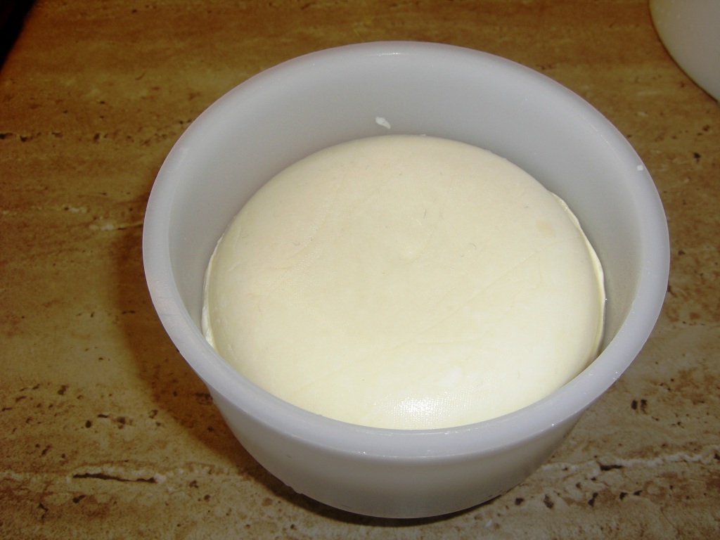 Käse 036.jpg