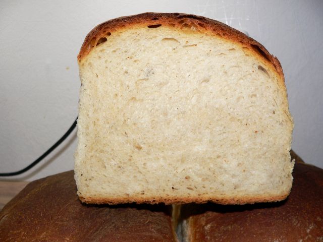 78.jpg