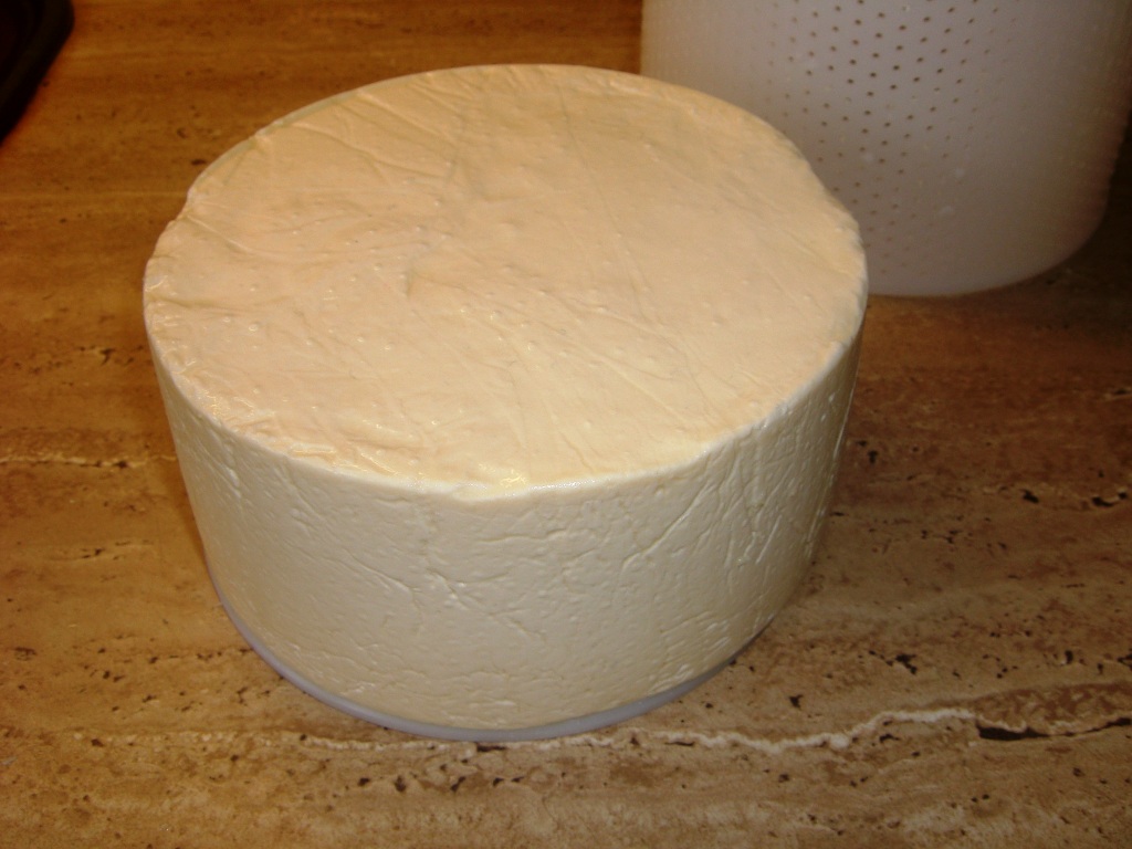 Käse 047.jpg