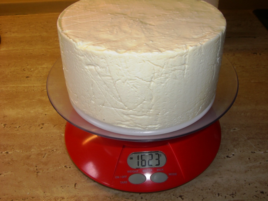 Käse 049.jpg