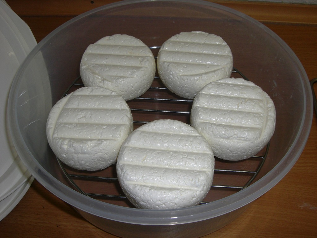 Käse 057.jpg