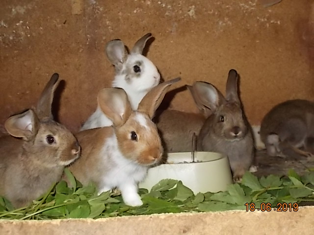 DSCN4118.JPG