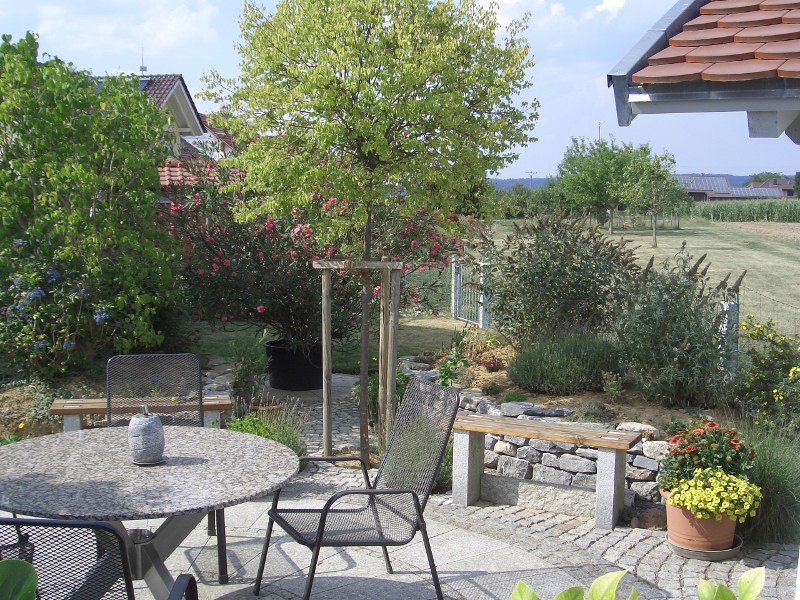 SBF 66 - Erweiterung.JPG