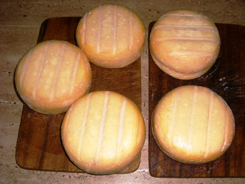 Käse3 021.jpg