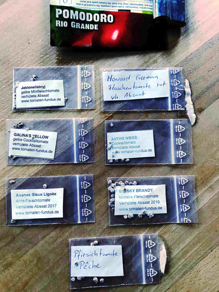 tomaten2022.jpg
