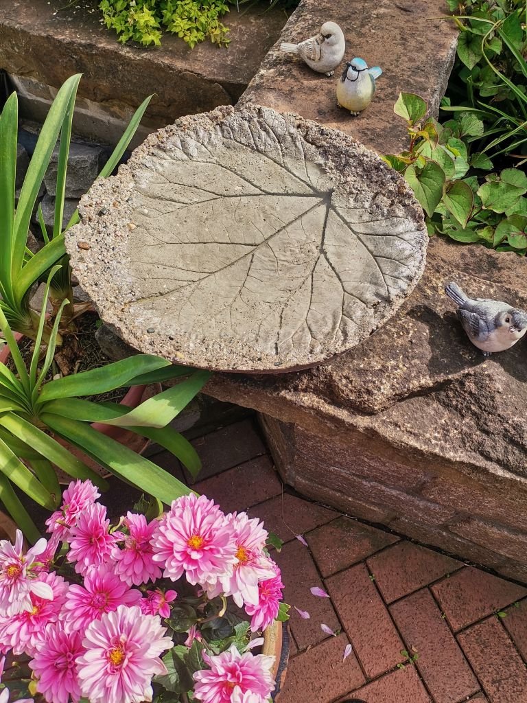 Vogeltränke_01.jpg