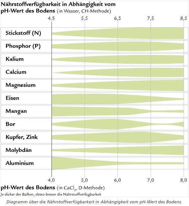 Nährstoffverfügbarkeit in Abhängigkeit vom pH-Wert des Bodens.jpg