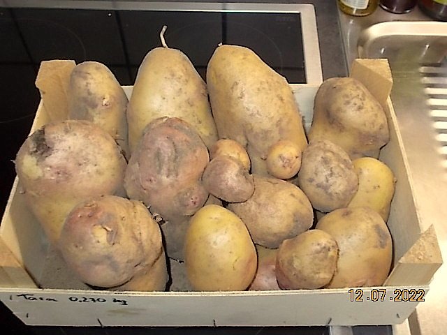 DSCN0347.JPG