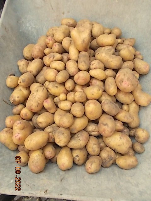 DSCN0490.JPG