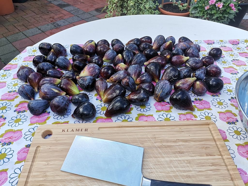 Feigenernte_2022_03.jpg